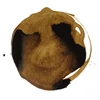 Liquitex akrilna tinta, 30 ml - 333, transparent raw umber