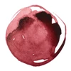 Liquitex akrilna tinta, 30 ml - 504, muted pink