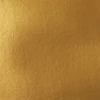Liquitex Heavy Body akrilna boja, 59 ml - 235, iridescent rich gold