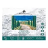 Magnani Firenze akrilni blok za slikanje, 100% pamuk, 400 g, 31x41 cm, 15 listova