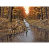 Set za bojanje s brojevima, akrilna boja+kist, 29x39 cm - Symondov potok