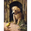 Set za bojanje s brojevima, akrilna boja+kist, 22x30 cm - Štene labradora