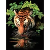Set za bojanje s brojevima, akrilna boja+kist, 22x30 cm - Žedni tigar