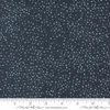 Slika 2/3 - Patchwork tkanina - Moda - Winterly by Robin Pickens 48715-152