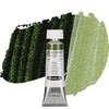 Slika 1/2 - Schmincke Akademie akrilfesték, 60 ml - 560, sap green