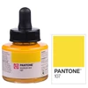 Tinta markera Talens Pantone, 30 ml - 107