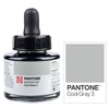 Slika 8/8 - Tinta markera Talens Pantone, 30 ml - hladno siva 3