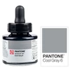 Slika 8/8 - Tinta markera Talens Pantone, 30 ml - hladno siva 6