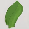 Talens Van Gogh uljana boja, 20 ml - 614, permanent green medium