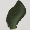 Talens Van Gogh uljana boja, 200 ml - 629, green earth