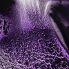White Nights svilenkasta akvarel boja 2,5 ml, granulirajući - 629, violet shadows