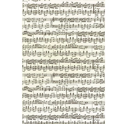 Tassotti decoupage papir - note