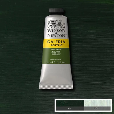 Winsor&amp;Newton Galeria akrilna boja, 60 ml - 447, olive green