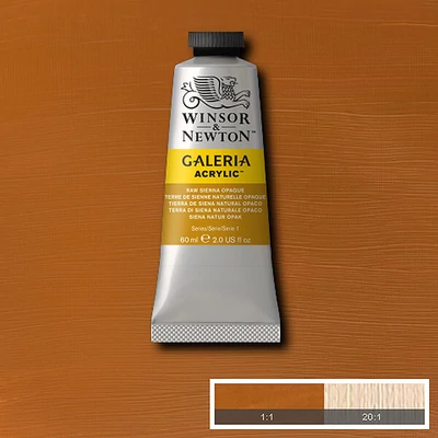 Winsor&Newton Galeria akrilna boja, 60 ml - 553, raw sienna opaque