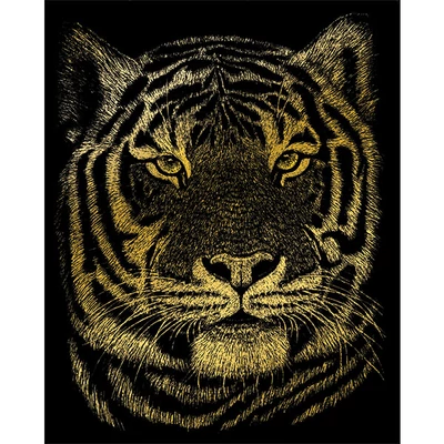 Set za graviranje ogrebotina s ogrebotinom, 20x25 cm - Bengalski tigar, zlato