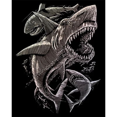 Set za graviranje ogrebotina s ogrebotinom, 20x25 cm - Morski psi, holografija