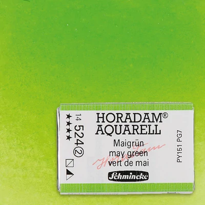 Schmincke Horadam akvarel boja, 1/1 svilenkasta - 24, may green