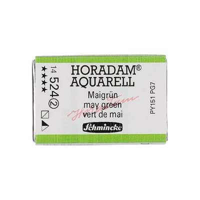 Schmincke Horadam akvarel boja, 1/1 svilenkasta - 24, may green