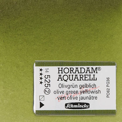 Schmincke Horadam akvarel boja, 1/1 svilenkasta - 25, olive green yellowish