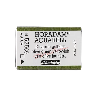 Schmincke Horadam akvarel boja, 1/1 svilenkasta - 25, olive green yellowish