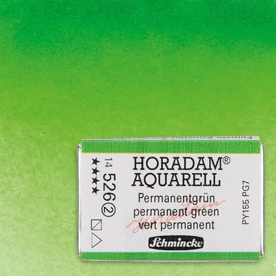 Schmincke Horadam akvarel boja, 1/1 svilenkasta - 26, permanent green