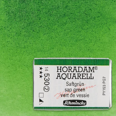 Schmincke Horadam akvarel boja, 1/1 svilenkasta - 30, sap green