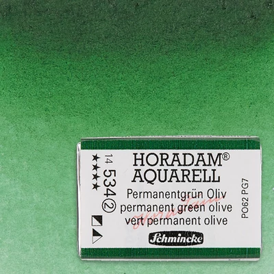 Schmincke Horadam akvarel boja, 1/1 svilenkasta - 34, permanent green olive