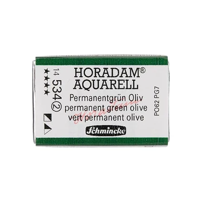 Schmincke Horadam akvarel boja, 1/1 svilenkasta - 34, permanent green olive