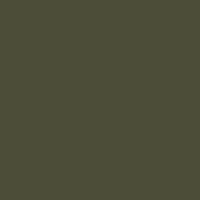 Talens Rembrandt uljana boja, 40 ml - 815, pewter