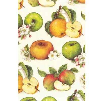 Tassotti decoupage papir - jabuka, u boji