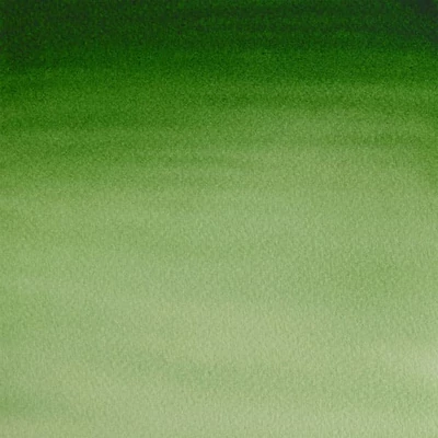 Winsor&amp;Newton Cotman 1/2 svilenkasta akvarel boja- 314, hooker's green light