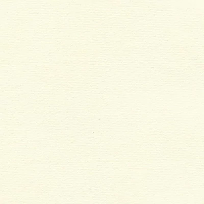 Hahnemühle Ingres papir, 100 g, 48x62,5 cm - 252 slonovača