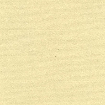 Hahnemühle Ingres papir, 100 g, 48x62,5 cm - 253 antikni