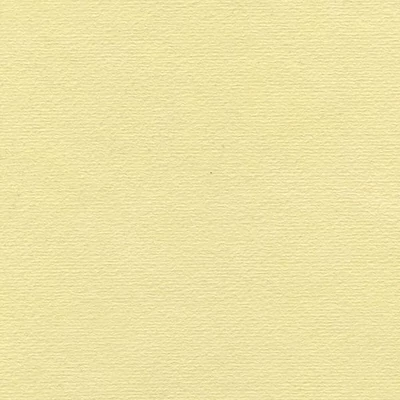 Hahnemühle Ingres papir, 100 g, 48x62,5 cm - 254 žućkasti
