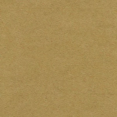 Hahnemühle Ingres papir, 100 g, 48x62,5 cm - 256 smeđa