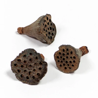 Suho voće - Lotus mali, 3 kom., prirodne boje