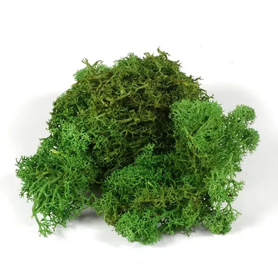 Suho voće - islandski lišaj, zeleni, 25 g