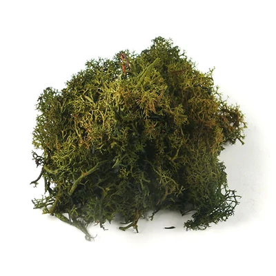 Suho voće - islandski lišaj, zelena mahovina, 25 g