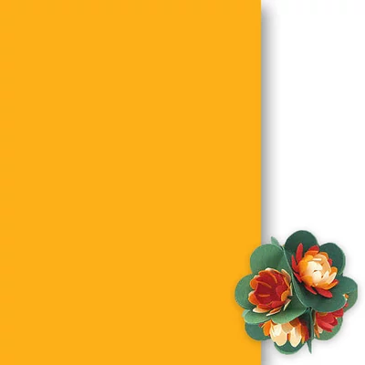 Toner papir, 50x70 cm - 14, mango