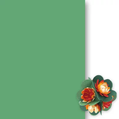 Toner papir, 50x70 cm - 53, zelena jabuka