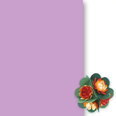 Toner papir, 50x70 cm - 60, viola