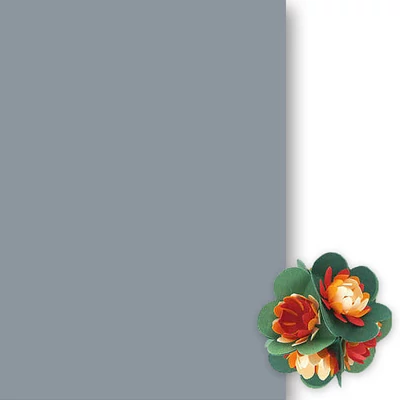 Toner papir, 50x70 cm - 87, tamno sivi