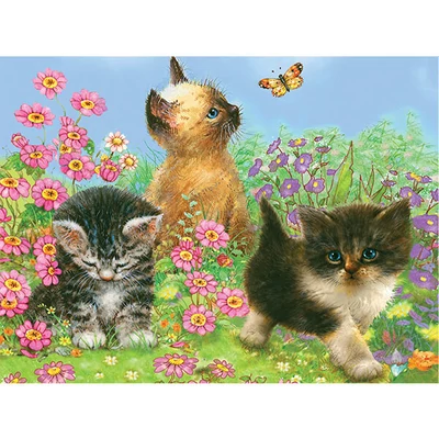 Set za bojanje s brojevima, olovke u boji + šiljilo, 22x30 cm - Mačići