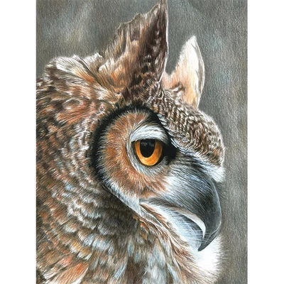 Set za bojanje s brojevima, olovke u boji + šiljilo, 22x30 cm - Sova