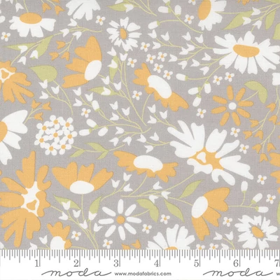 Patchwork tkanina - Moda - Buttercup and Slate by Corey Yoder 29151-16
