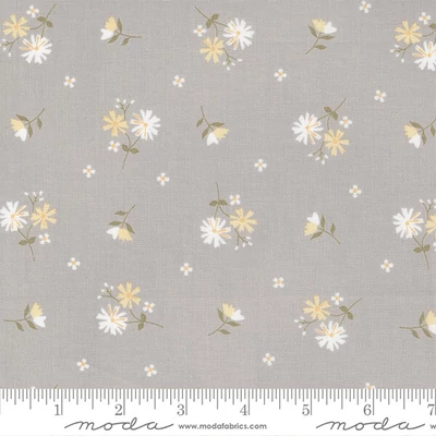 Patchwork tkanina - Moda - Buttercup and Slate by Corey Yoder 29153-16