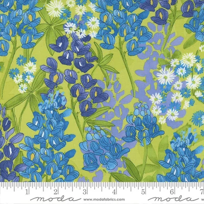 Patchwork tkanina - Moda - Wild Blossom by Robin Pickens 48732-13