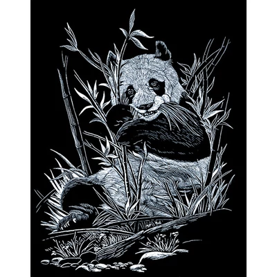 Set za graviranje s grebalicom, 20x25 cm - Panda, srebro