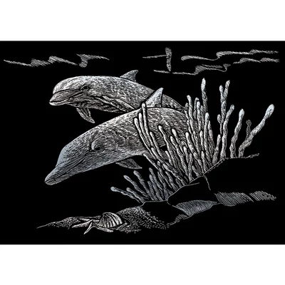 Set za graviranje sa grebalicom, 12x18 cm - Delfini, srebro