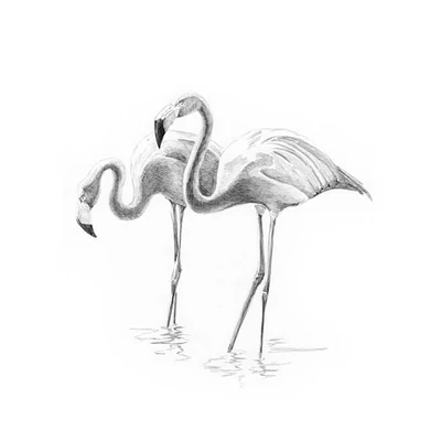 Sketch drawing Mini grafički set za crtanje s alatima, 12x18 cm - Flamingosi